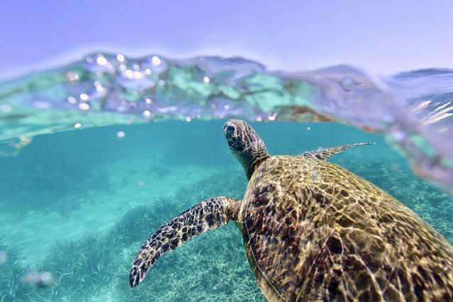 Ningaloo Coast